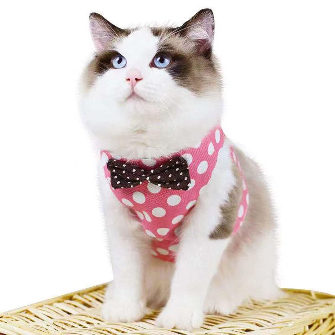 猫用 ハーネス 猫 リード 胴輪 ねこ 猫 ベスト 胸あて式 牽引ロープ 子犬 小型犬 首輪 子猫 服 かわいい おしゃれ (水玉ピンク, Lサイズ)拍卖