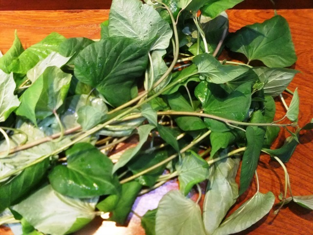 439.6◆食べる さつまいも 芋 つる 300g◆夏限定 野菜 葉 茎 葉柄 珍味 きんぴら◆エスディージーズ 自然菜園 無農薬 無化学肥料 栽培 収獲拍卖