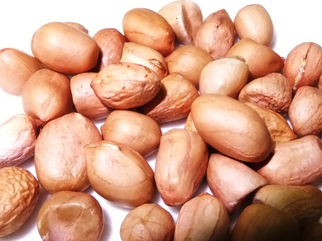 480.6.1◆トライ 家庭菜園 落花生 インカのしずく 15粒 ピーナツ ゆでピー◆エスディージーズ 無農薬 無化学肥料◆自然菜園 栽培 野菜 種苗拍卖