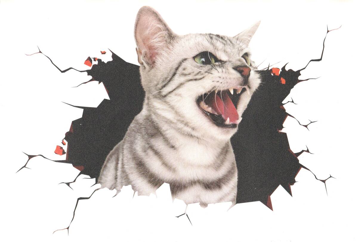 猫柄 猫雑貨 猫グッズ トリックアート ウォールステッカー カーステッカー アメショ ねこ キャット cat拍卖