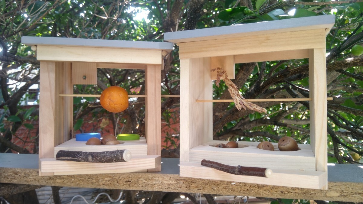 ☆10 (1024-4) 小鳥の餌箱キヤツプタイプと②小鳥 小動物兼用餌箱タイプのまとめ出品拍卖