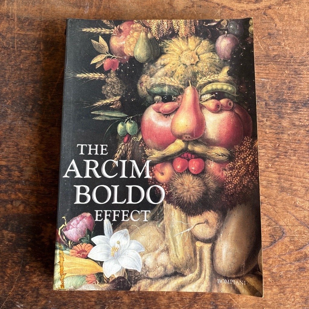 THE ARCIM BOLDO EFFECT アルチンボルド効果:16~20世紀の顔表現の変遷 1987発行 現状品 digjunkmarket拍卖