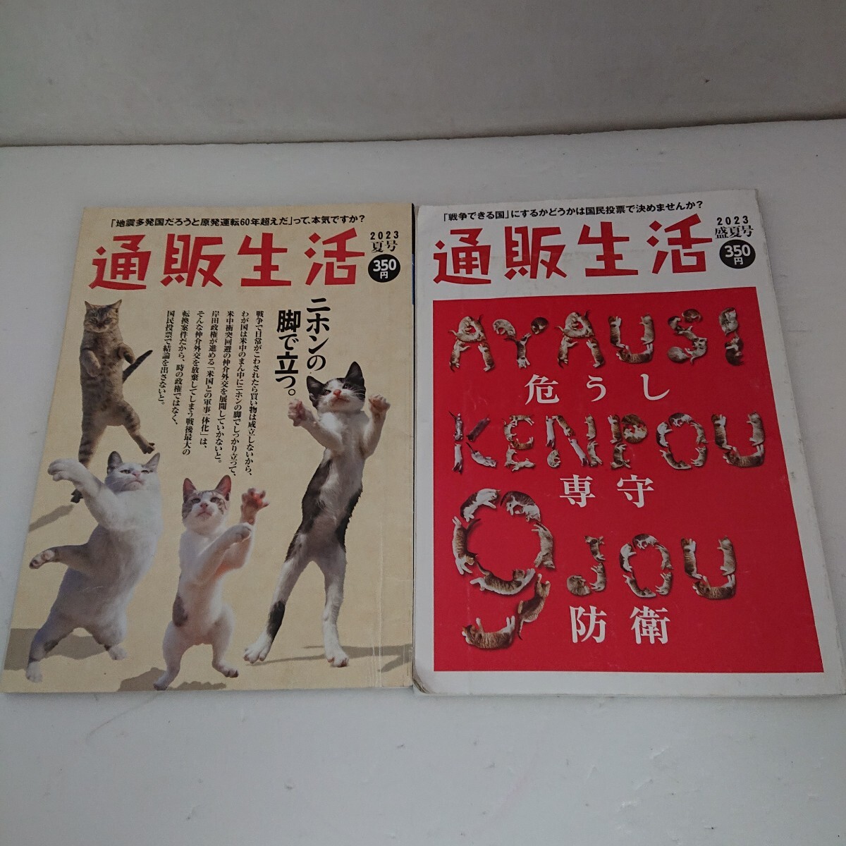【カタログ2冊セット】通販生活 2023年夏号 ニホンの脚で立つ・盛夏号 危うし 専守防衛 当時物 No.284・285 現状品 ぷらみ 0824 94拍卖