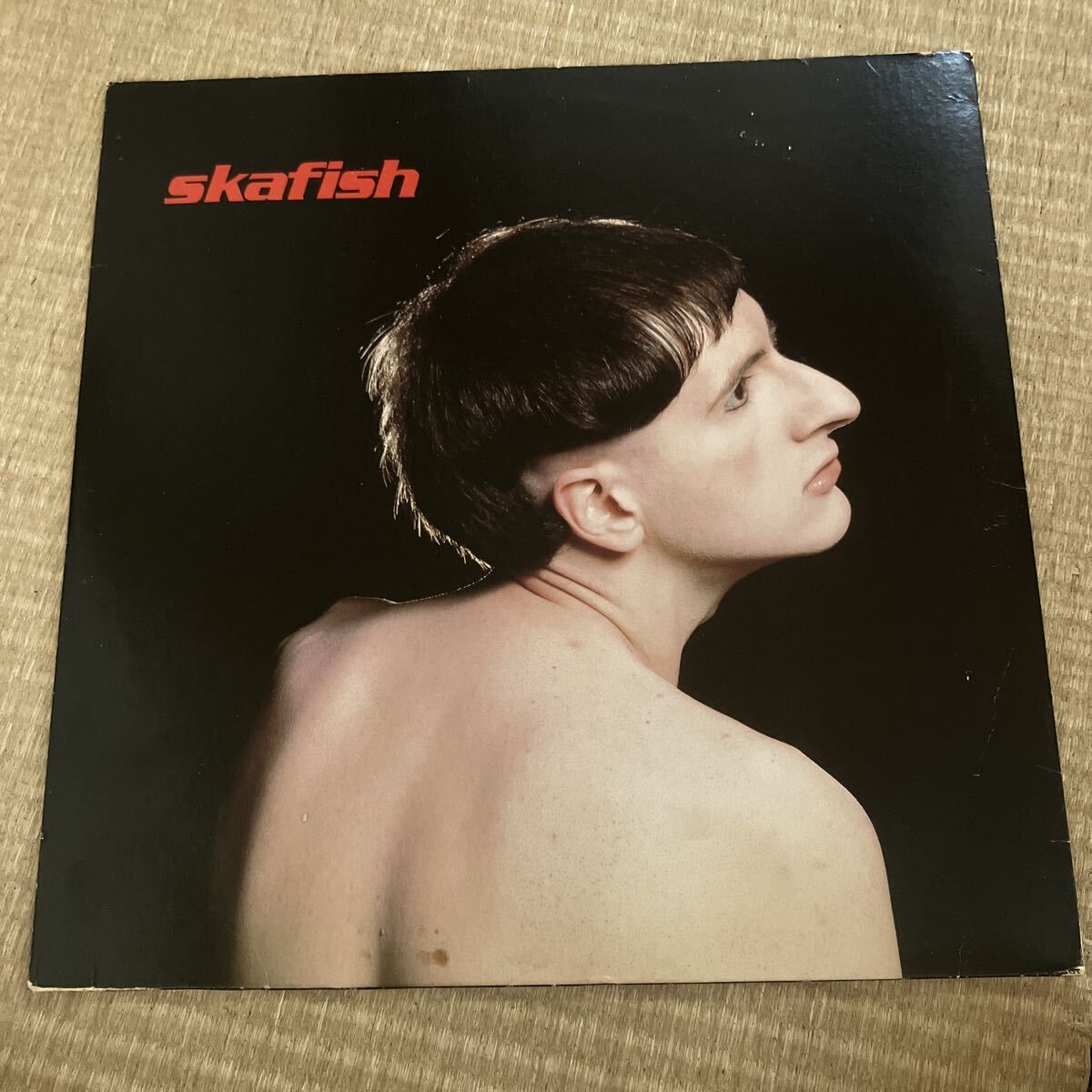 試聴済 アナログLP●米国盤】スカフィッシュ SKAFISH シカゴパンク パンク天国拍卖