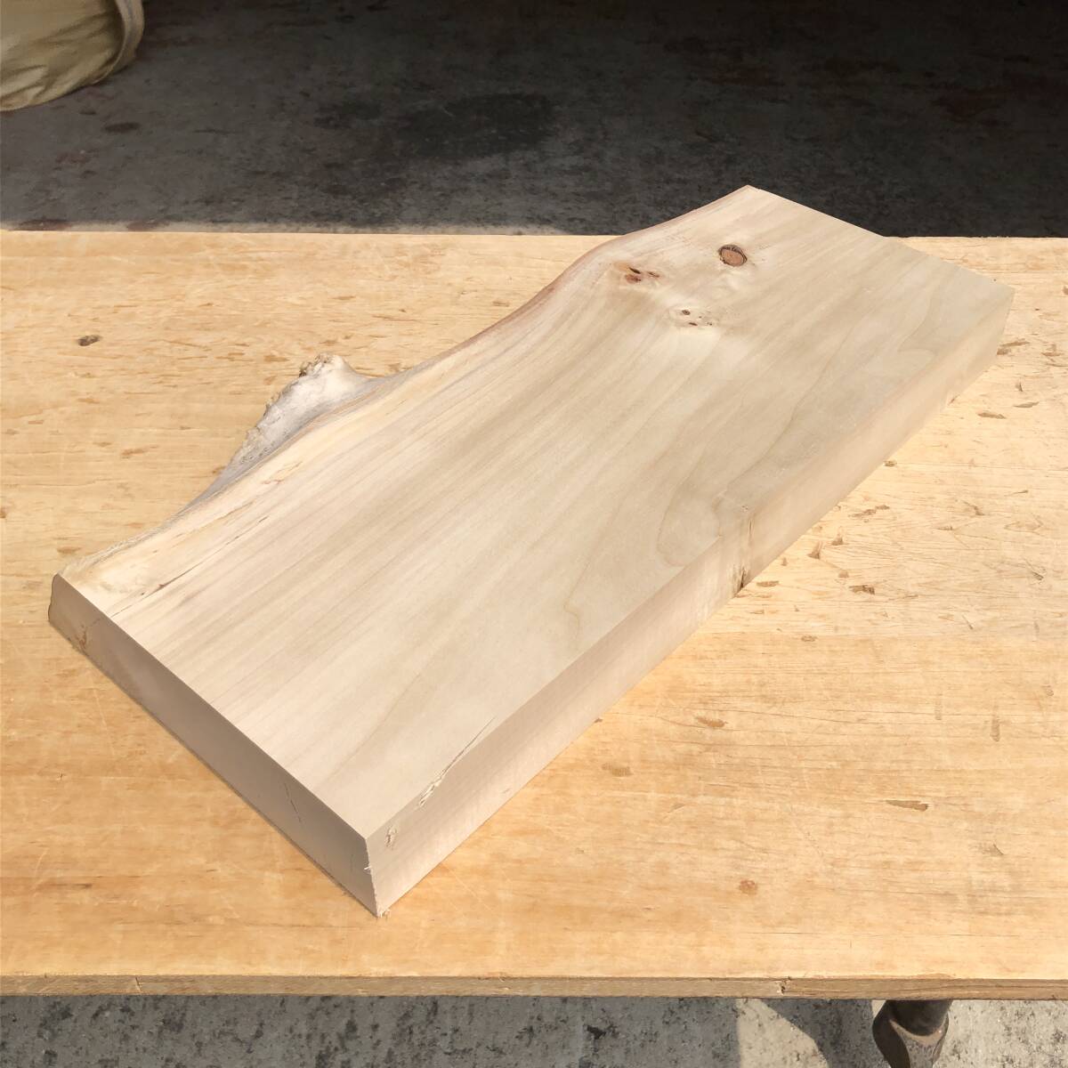 送料無料!ポプラ【A127G】513×223~275×53mm クラフト レジン ハンドメイド 木工 天然木 自然素材 木材 乾燥材 無垢材《銘木すずめや》拍卖