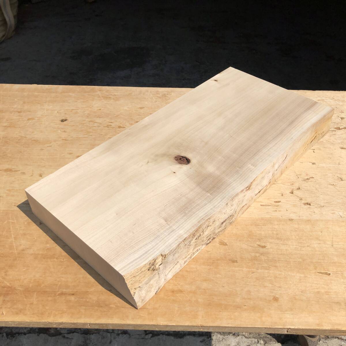 送料無料!ポプラ【A457J】513×235~245×54mm クラフト レジン ハンドメイド 木工 天然木 自然素材 木材 乾燥材 無垢材《銘木すずめや》拍卖