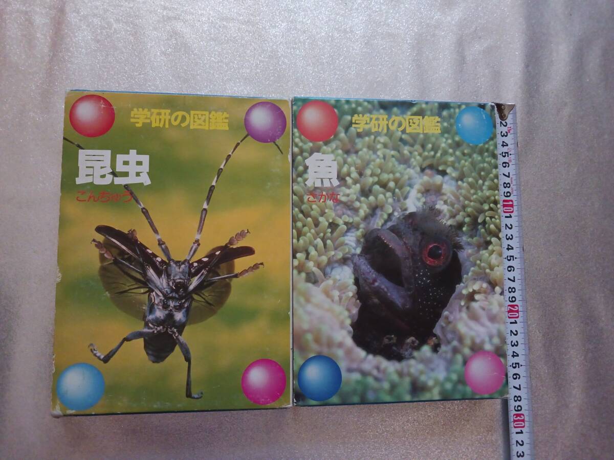 ★☆学研の図鑑♪魚(さかな)&昆虫(こんちゅう)2冊セット★☆拍卖