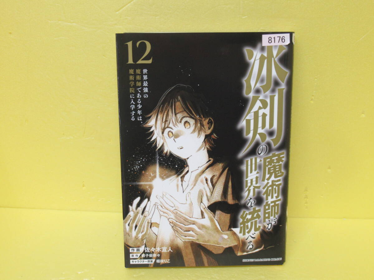冰剣の魔術師が世界を統べる 世界最強の魔術師である少年は、魔術学院に入学する(12) 6/6607拍卖