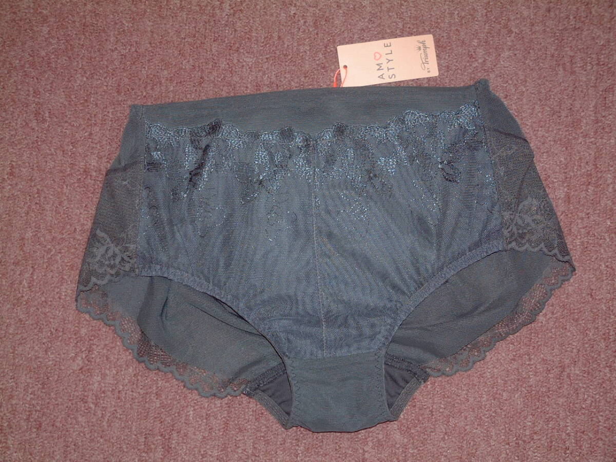 ★定価2970円◆トリンプ アモスタイル プチフラットタミー はきこみ深めショーツ Mサイズ AMST1428 Maxi JX M013拍卖
