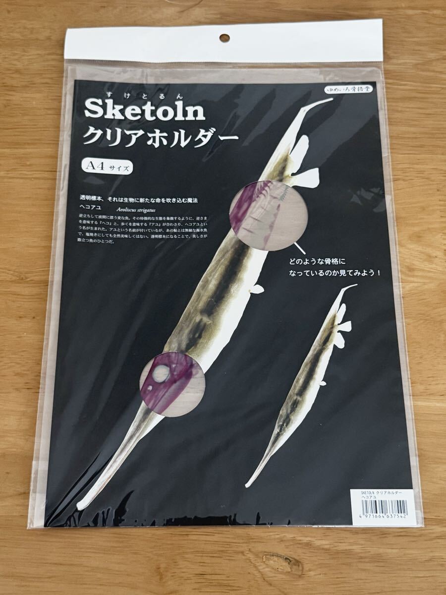 ゆめいろ骨格堂 sketoln すけとるん A4サイズ クリアホルダー クリアファイル ヘコアユ 透明標本 魚 海の生き物 生物 文房具 未使用品拍卖