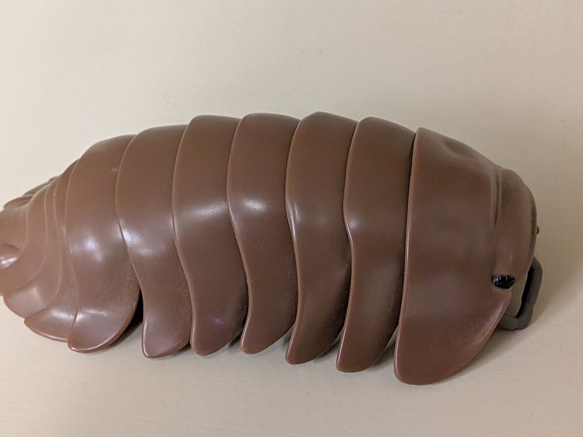 生き物 ダイオウグソクムシ 茶色 フィギュア拍卖