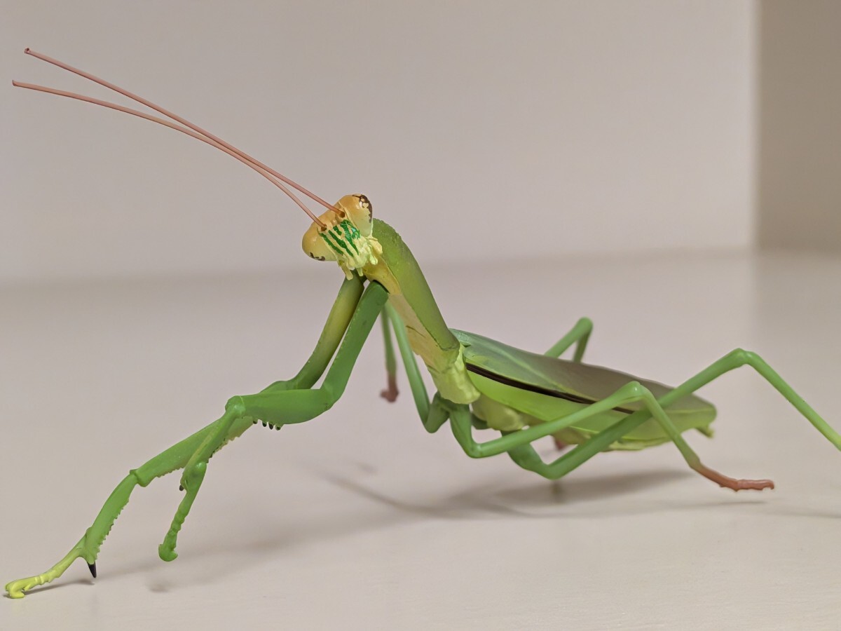 生き物 カマキリ フィギュア拍卖