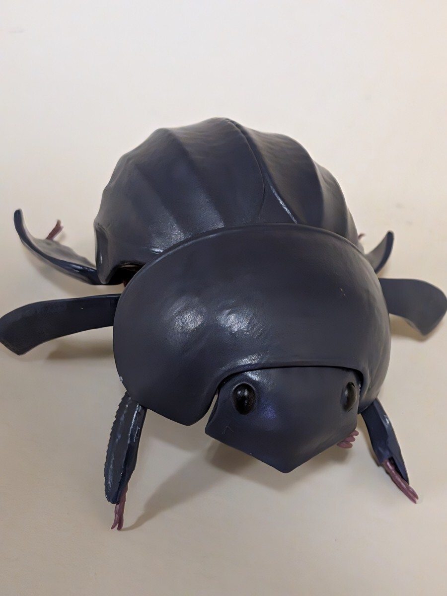 生き物 コガネムシ 灰色 フィギュア拍卖