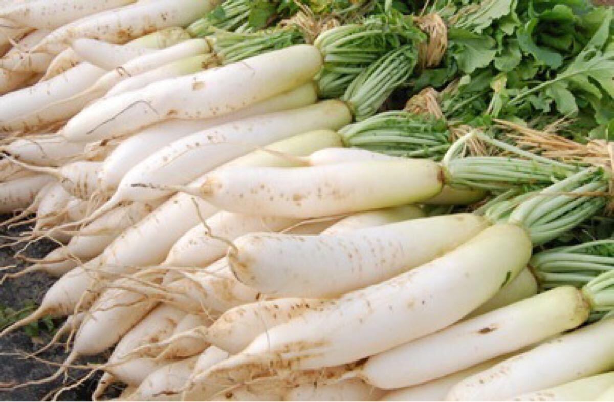 大根 伊勢たくあん 20粒拍卖