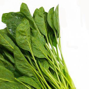 サラダ ほうれん草 50粒拍卖