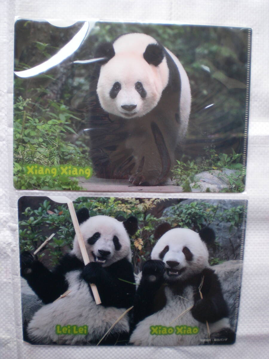 上野松坂屋☆数量限定非売品★上野パンダ★シャオシャオ レイレイ シャンシャン A5版クリアファイル2種 厚紙補強して送料無料!拍卖