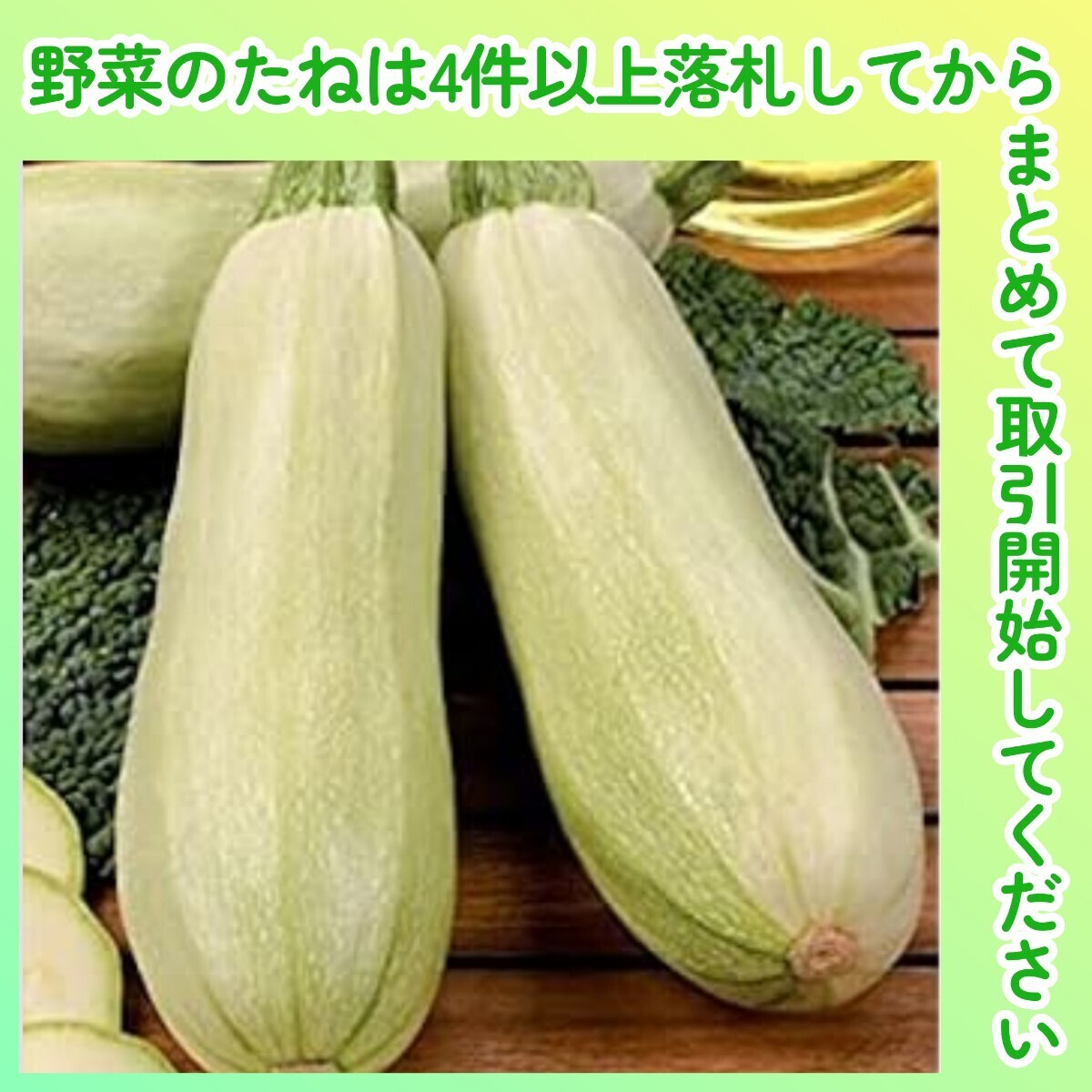 4件以上落札◆ズッキーニ種◆ミニズッキーニ・アルジェリア早生 3粒◆固定種 2週間早く収穫できる極早生拍卖