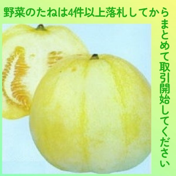 4件以上落札◆マクワウリ種◆みずほニューメロン 5粒◆固定種まくわうり マクワ まくわ 甜瓜 真桑瓜拍卖
