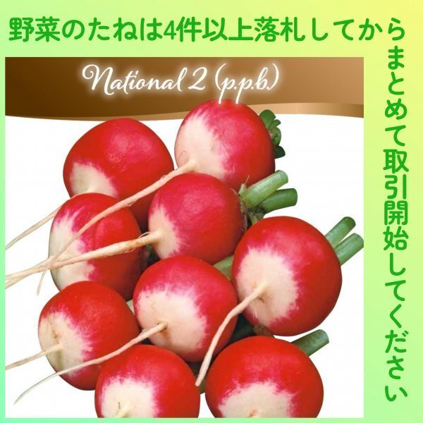 4件以上落札◆ラディッシュ種◆ラディッシュ・ナショナル2 約100粒◆固定種ダイコン 丸大根 だいこん拍卖