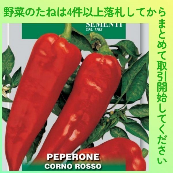 4件以上落札◆スイートペッパー・パプリカ・ピーマン種◆コルノロッソCornoRosso 5粒◆固定種スイートペッパー ホルンレッド赤角拍卖
