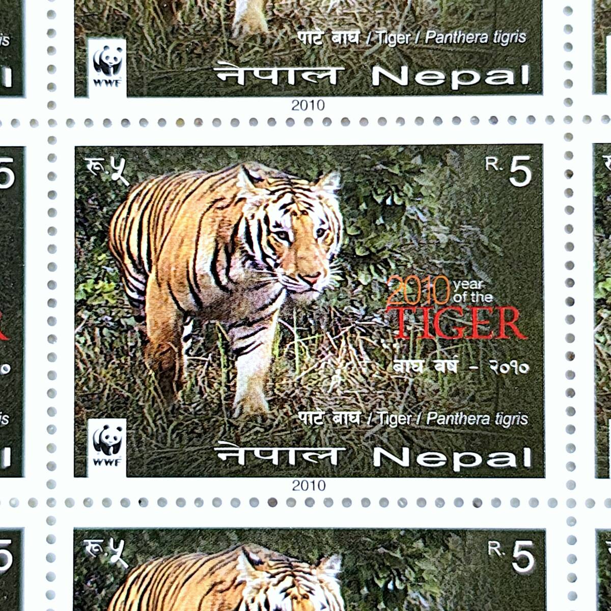 世界の切手 2010年製 ネパール Panthera tigris ベンガルトラ 切手シート Rs.5×50枚 WWF拍卖
