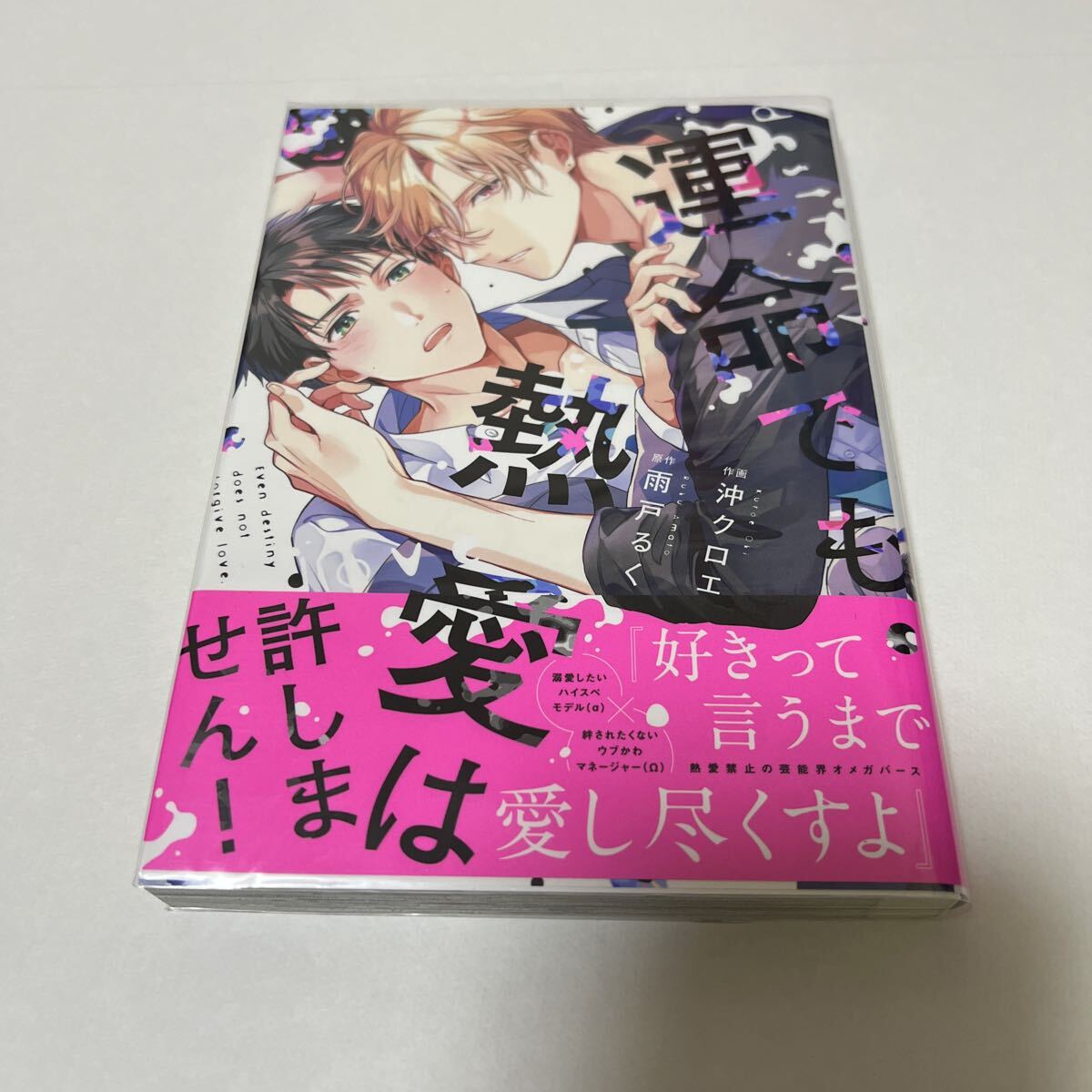 BL 4239 運命でも熱愛は許しません!…沖クロエ/雨戸るく拍卖