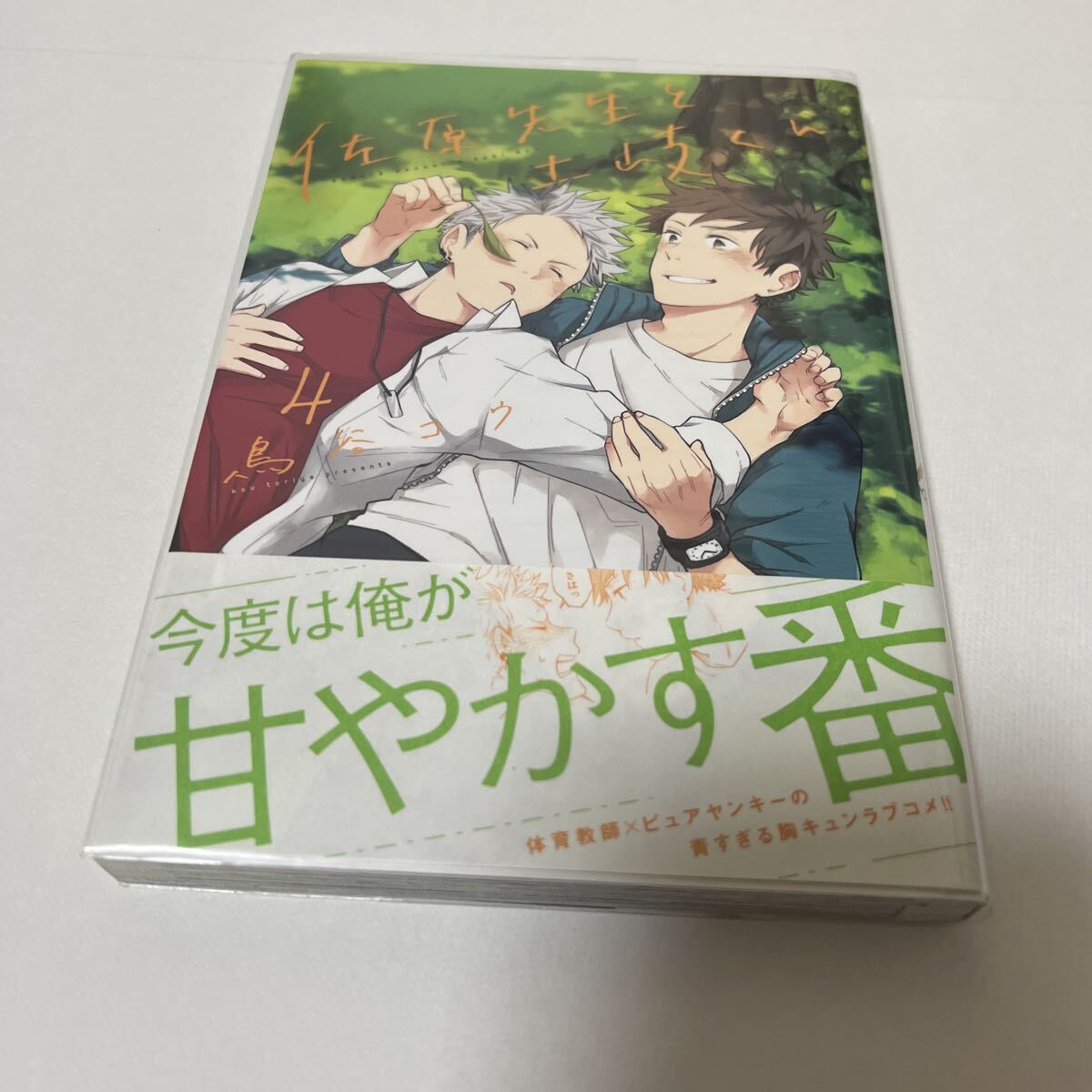 BL 4263 佐原先生と土岐くん④…鳥谷コウ拍卖