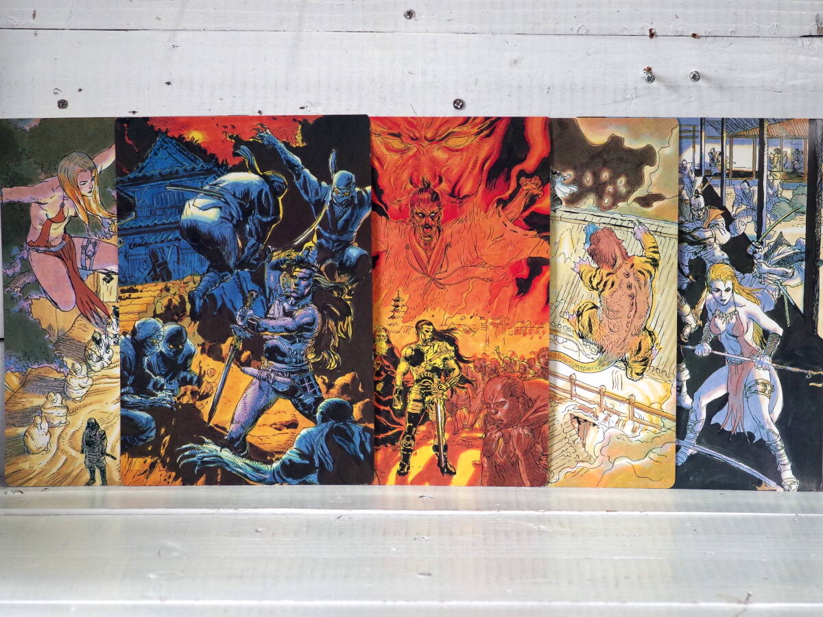 M13184【PC】戦国ソーサリアン SORCERIAN シナリオカード 6枚 サイズ:約22×14cm パソコン版 ゆうめーる150g 拍卖