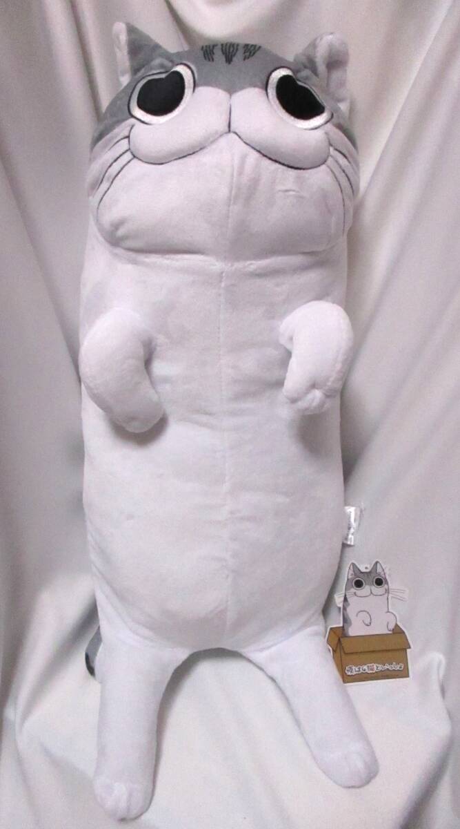 即決《 夜は猫といっしょ ロング 抱き枕 ぬいぐるみ 》 ネコ 猫 大きい BIG 非売品拍卖