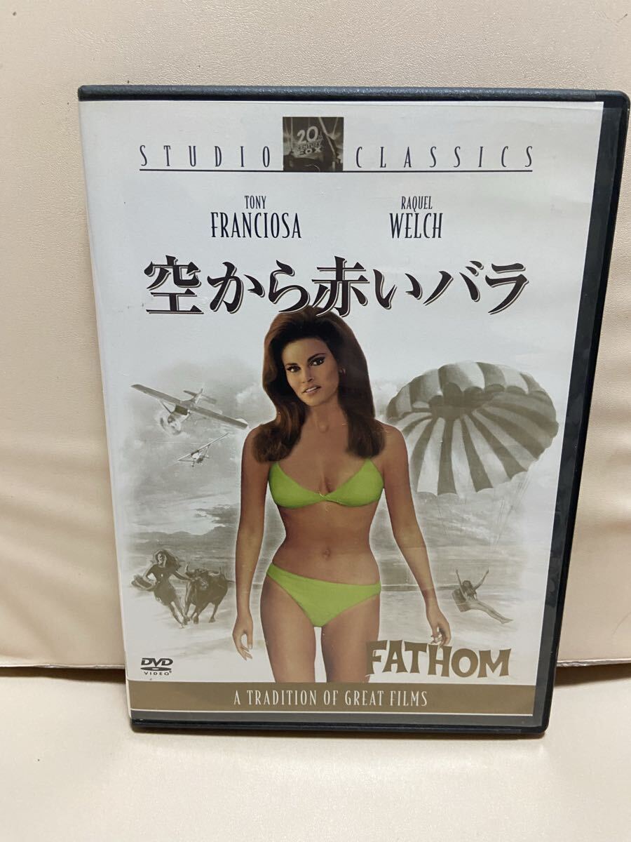 【空から赤いバラ】洋画DVD、映画DVD(送料ゆうメール180円)※ジャケットの端が切れています。拍卖