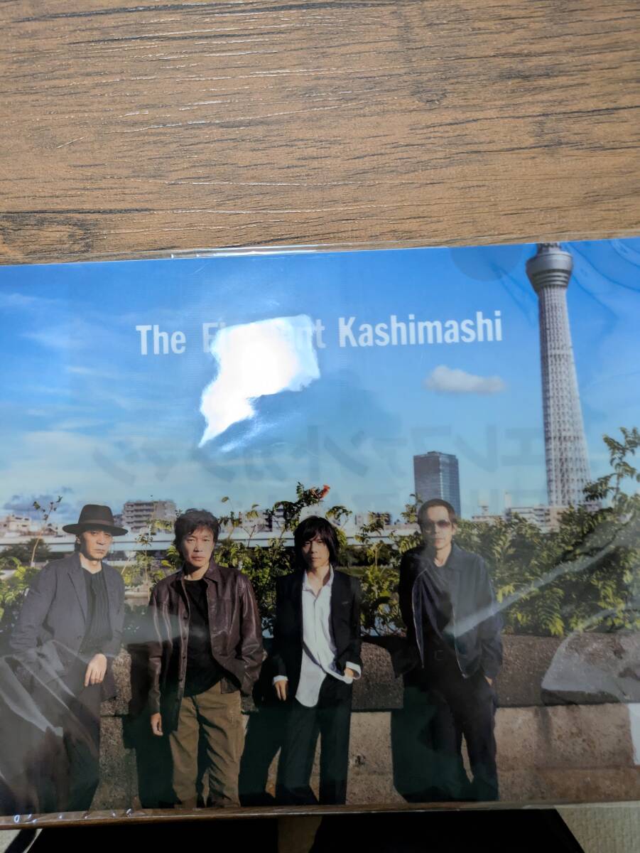 エレファントカシマシ 日比谷野外大音楽堂コンサート2023 クリアファイルセット 宮本浩次拍卖