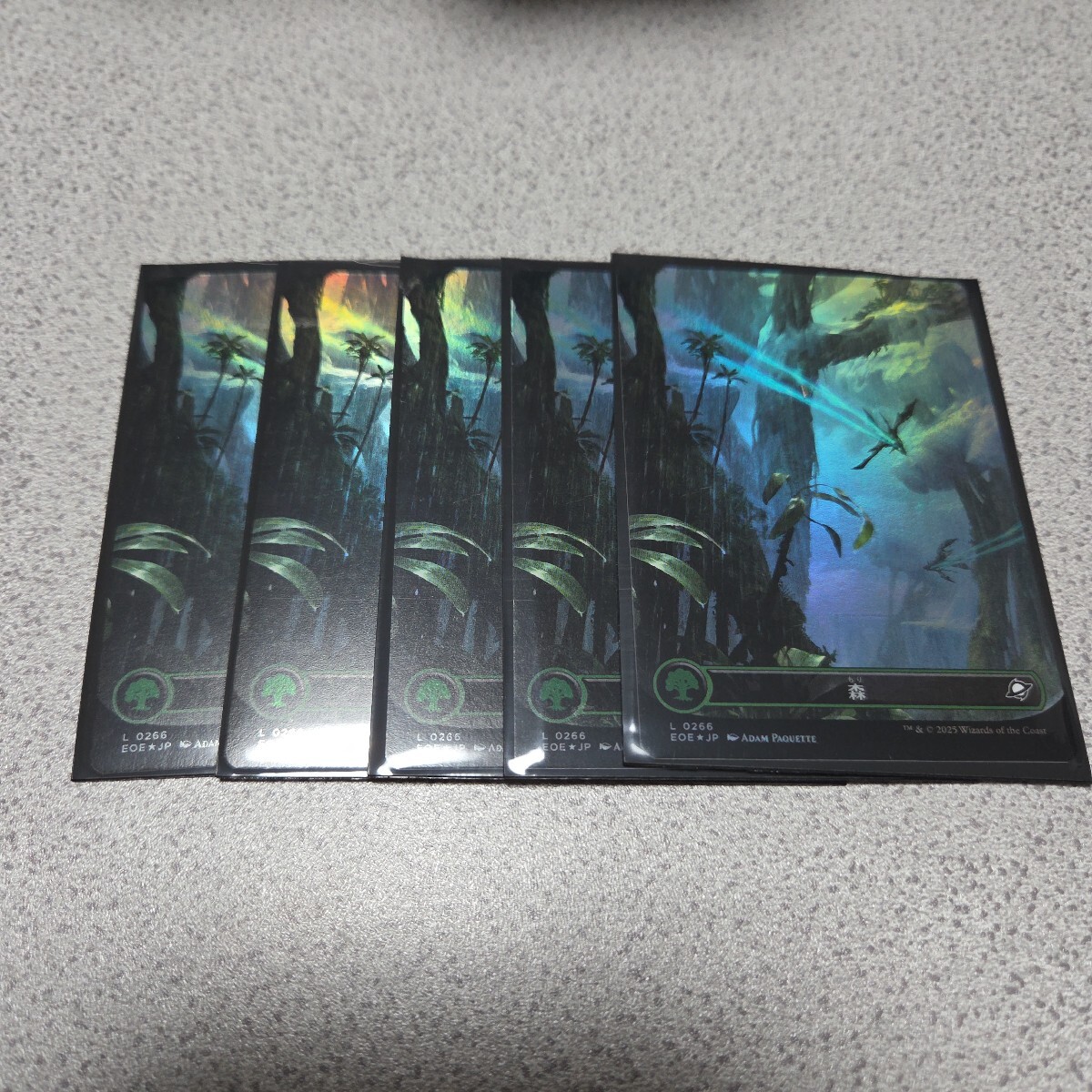 MTG EOE 森 日本語foil 5枚セット 久遠の終端 ボーダーレス 即決拍卖