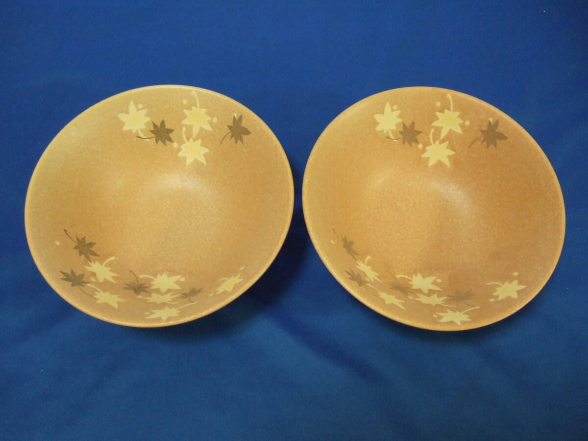 ☆未使用☆ どんぶり 2個 処分価格    拍卖