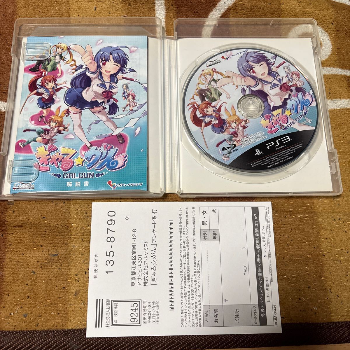 動作確認済 PS3 ぎゃる ☆ がん ケース 説明書 ハガキ あり PlayStation3 プレイステーション3拍卖