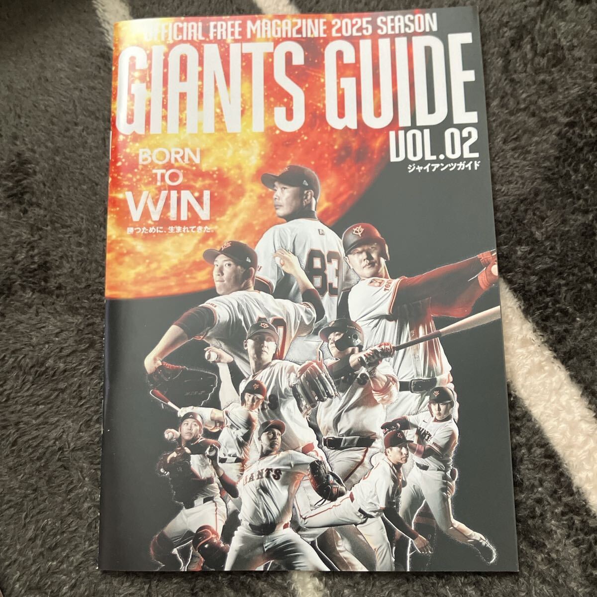 非売品 ジャイアンツ ジャイアンツガイド 選手名鑑拍卖