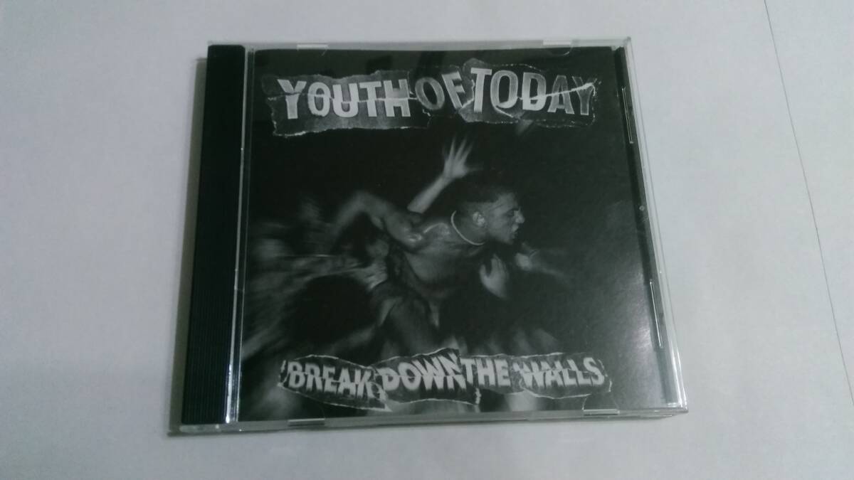 Youth Of Today - Break Down The Walls☆Insted Better Than A Thousand Strife In My Eyes Agnostic Front Gorilla Biscuits Bold 拍卖