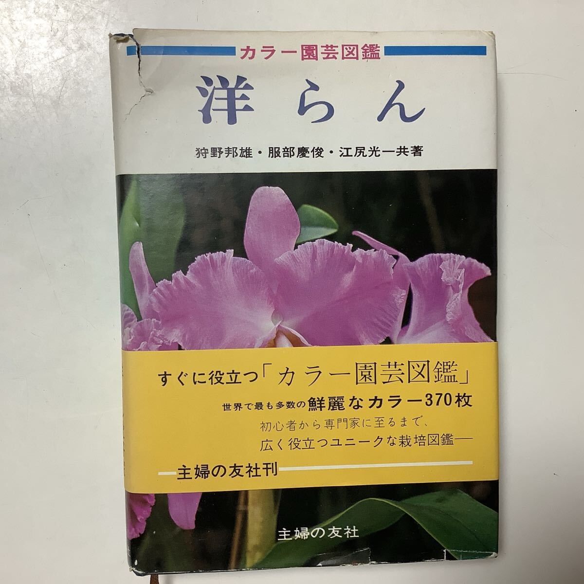 カラー園芸図鑑 洋らん 洋らん愛好家必備の図鑑 主婦の友社刊 カラー370枚拍卖