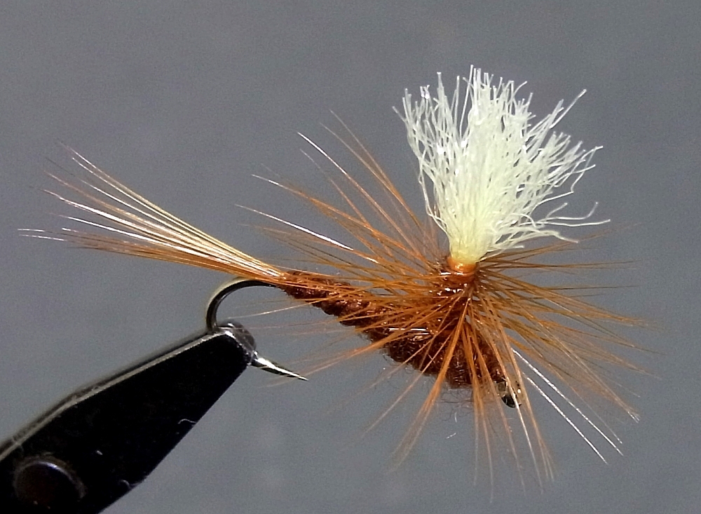 パラシュート #14 ブラウン 6本拍卖