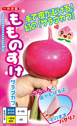 送料無料 もものすけ (サラダカブ) 蕪 20粒拍卖