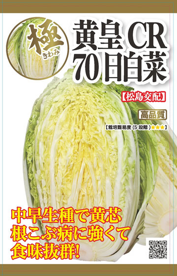 送料無料 黄皇CR 70日白菜 30粒拍卖