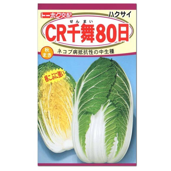 送料無料 CR千舞 80日白菜 50粒拍卖