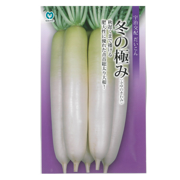 送料無料 冬の極み 大根 50粒拍卖
