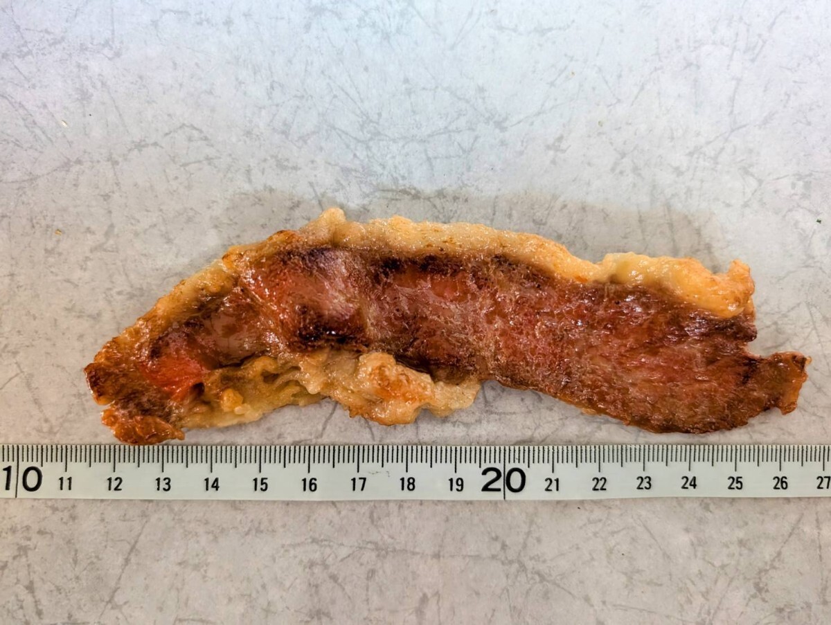 【まいづる食品サンプル】ヨーロッパイチョウガニ爪 F-13 単品売り 1個855円拍卖