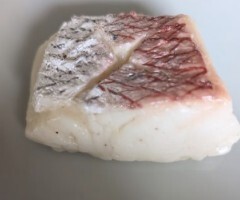 【まいづる食品サンプル】たい 鯛 E-84拍卖