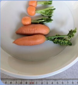 【まいづる食品サンプル】E-81 まとめ売り にんじん 唐辛子 白菜拍卖