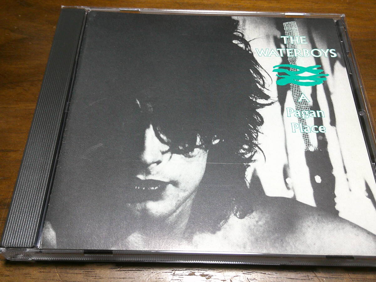 WATERBOYS《 A Pagan Place 》★UK歌ものロック拍卖