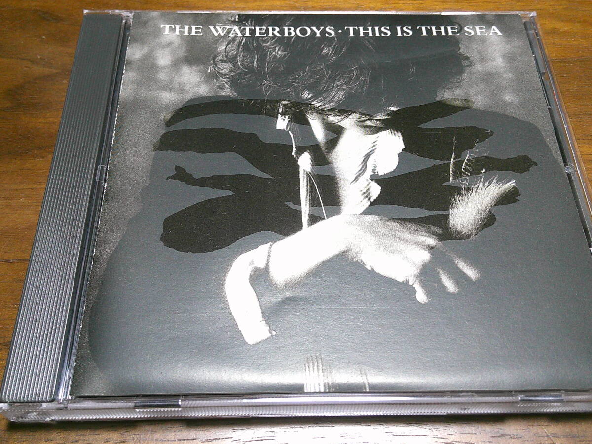 WATERBOYS《 This Is The Sea 》★UK歌ものロック拍卖