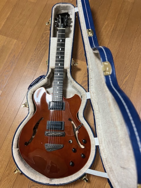 Westville Vanguard Plus DC (Kurt Rosenwinkel Signature) セミアコ 別売りハードケース付き拍卖