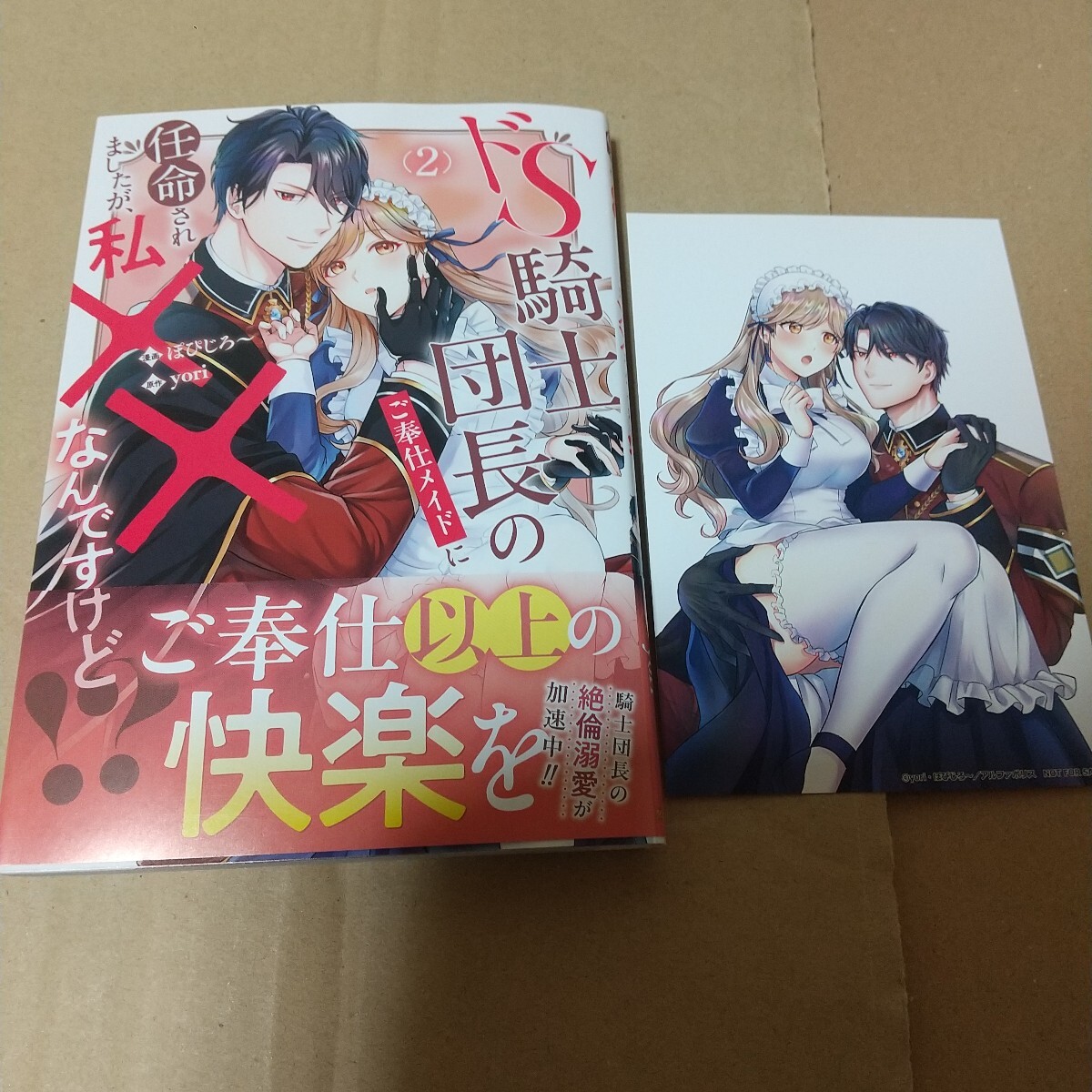 ドS騎士団長のご奉仕メイドに任命されましたが、私××なんですけど!? 2 (Noche COMICS) 特典付き拍卖