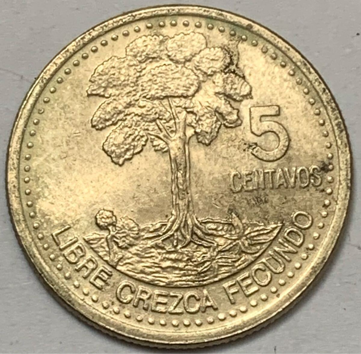 海外コイン グアテマラ 5センタボ 1998年拍卖